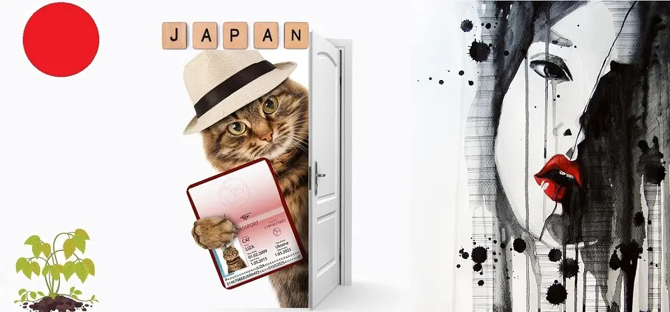 Illustration of the process of getting Japanese artist visa.