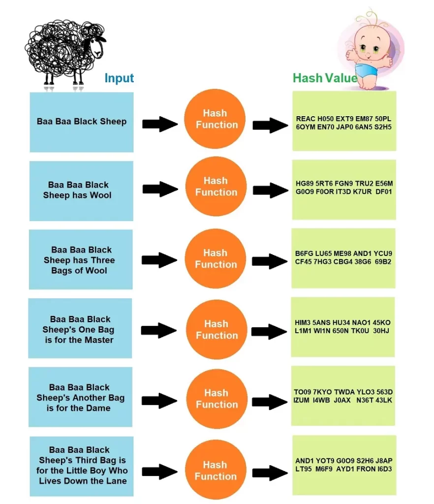 Infographic of hash function in blockchain.