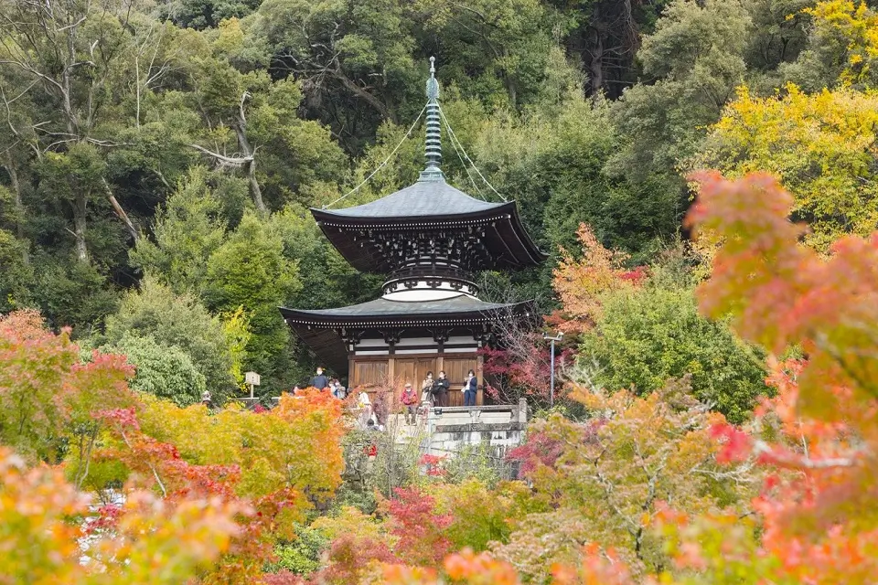 A guide to live in Kyoto, Japan.