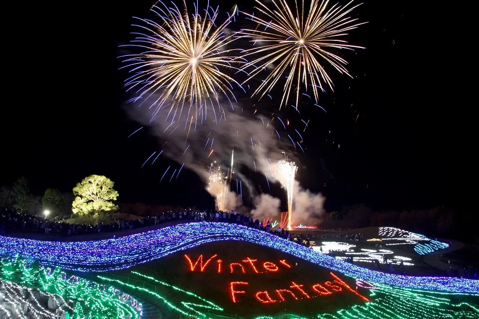 Hanabi (Fireworks) in Japan.