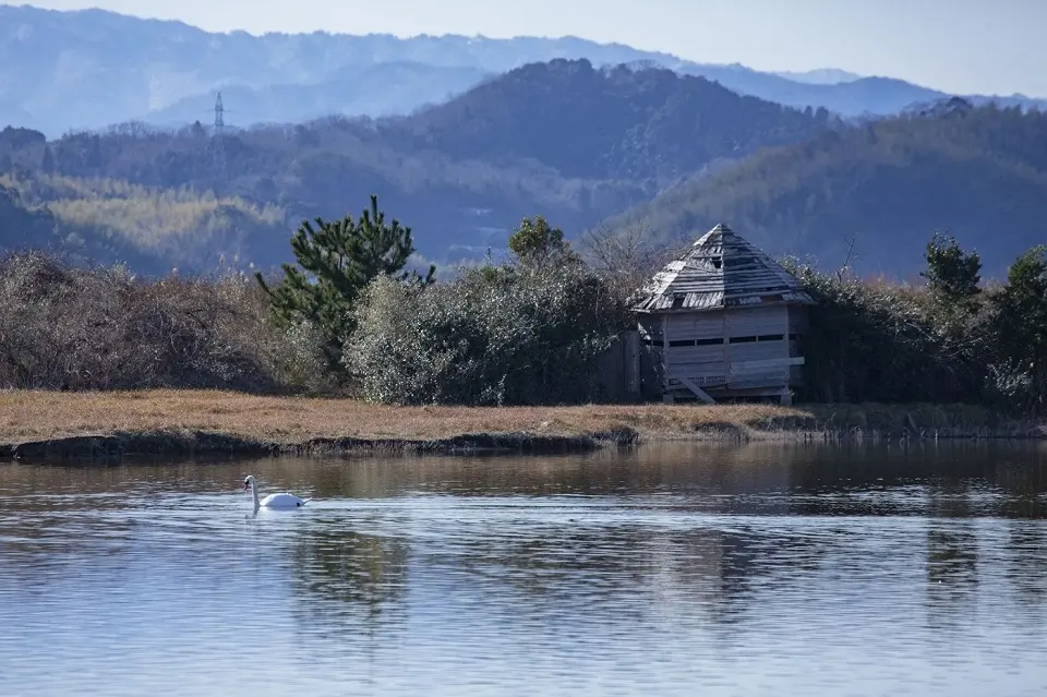 Yonago Waterbirds Sanctuary in Tottori prefecture. Tottori has the cheapest housing rents in Japan.