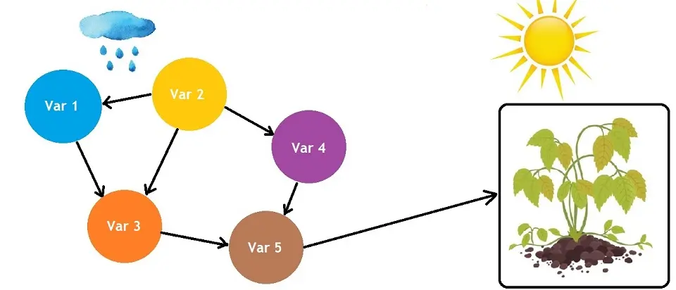 Pictorial representation of Bayesian Network (Bayes network).