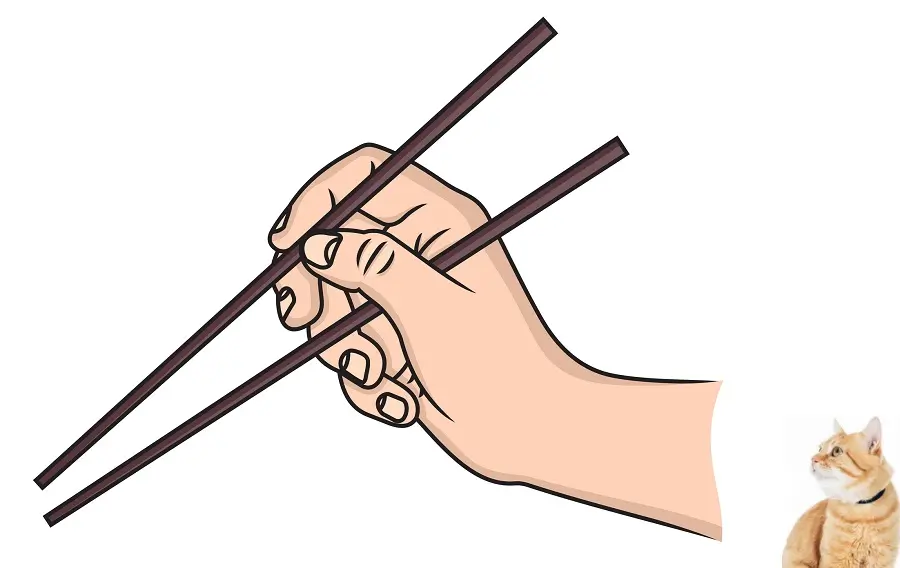 A guide to using chopsticks in the right way.