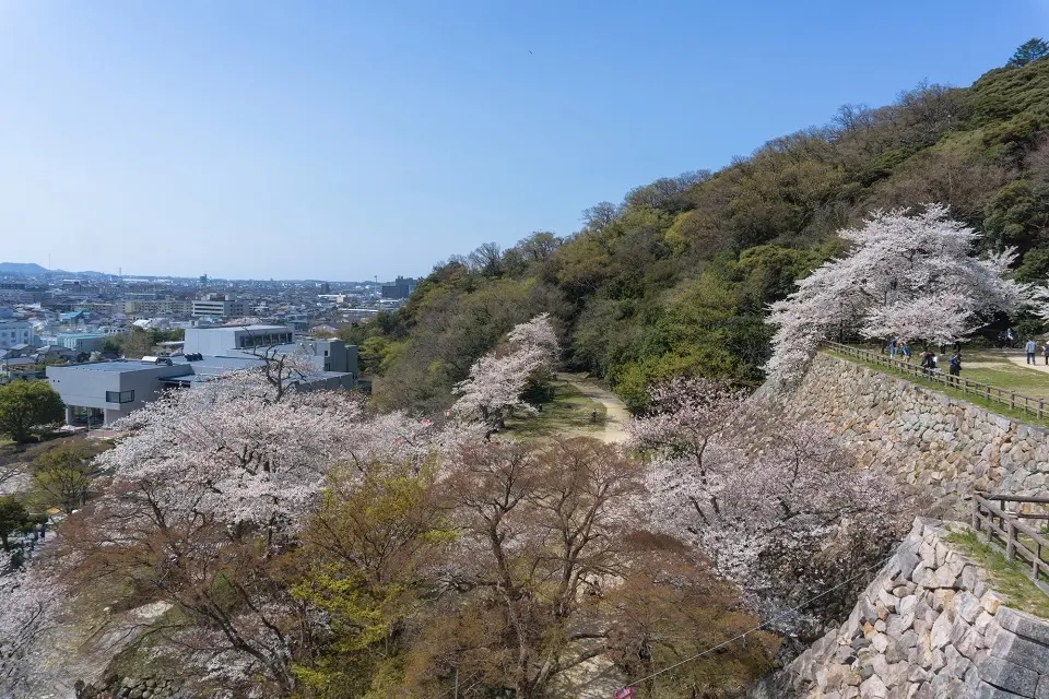 Must visit tourist places in Japan.