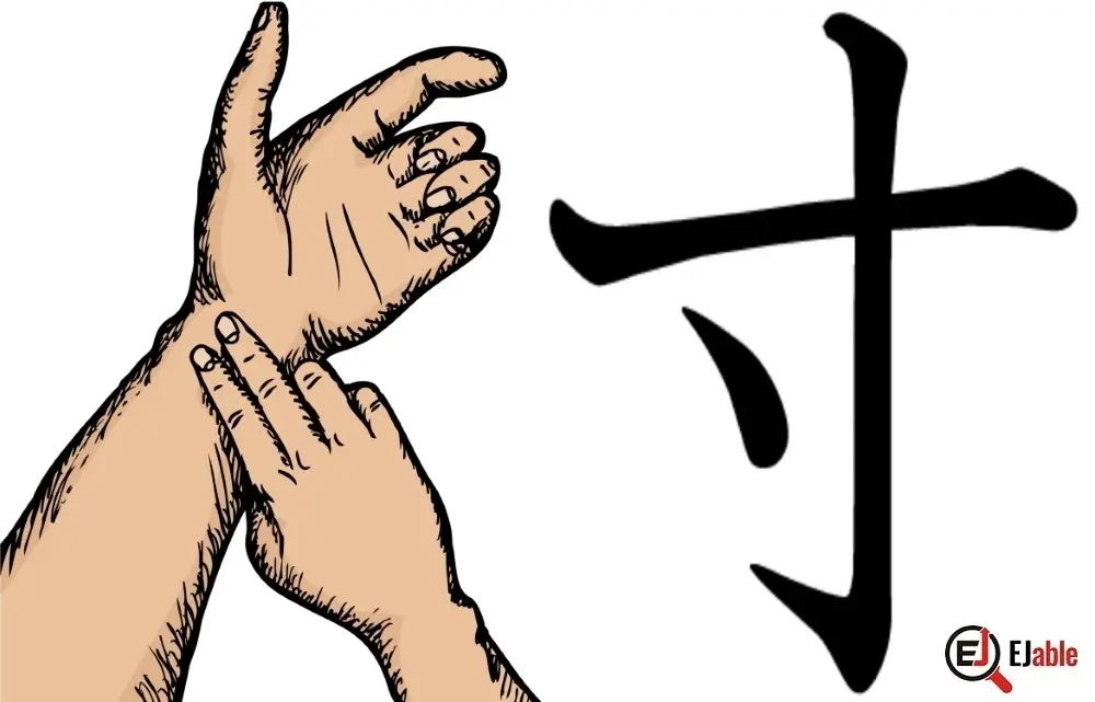 Relation of the Kanji 寸 for Shortness or Tininess with hand.