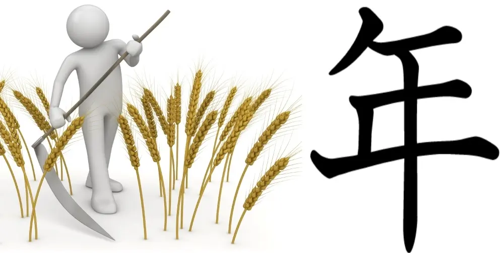 Kanji for year as the annual rice harvesting cycle.