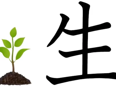 Header picture of the Kanji for "Life (living)," "Be Born," "Raw" (生).