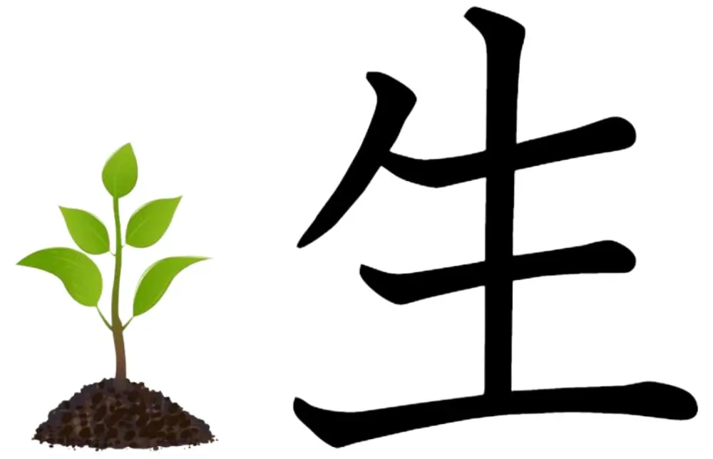 Header picture of the Kanji for "Life (living)," "Be Born," "Raw" (生).