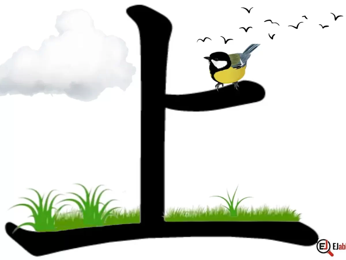 ue-banner-5-1200x900.webp